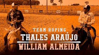 Team Roping - Thales Araújo x Willian Almeida Training .