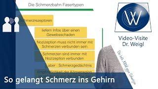 Schmerz und Schmerzweiterleitung: Nozizeptoren und Schmerzfasern // Schmerzen verstehen