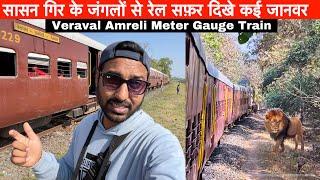 Veraval Amreli Meter Gauge train journey through Gir forest •Jangli Janwar dikhe•