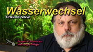 Wann sollte man den ersten WASSERWECHSEL IN DER EINFAHRZEIT machen?