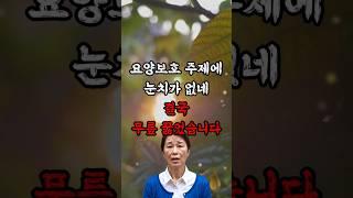 요양보호사 주제에 눈치가 없네, 결국 무릎 꿇었습니다 #실화사연 #썰 #감동사연 #사연라디오 #요양보호사 #가족