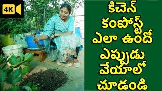 Proper Kitchen Compost | How to Use Kitchen Compost for Terrace Garden | The Telugu Housewife | TTH