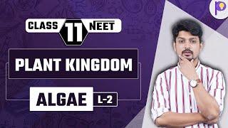 Plant Kingdom L2 | ALGAE | Class 11 Biology | NEET 2023 And 2024 | Padhle NEET