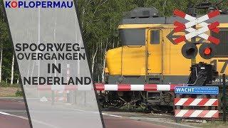 Bahnübergänge in den Niederlanden (Übersicht)