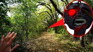 IF YOU SEE SPRUNKI HORROR RADDY PHASES IN REAL LIFE, RUN!! *HE ATE ME*