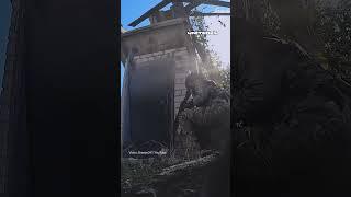 Ukrainian Fighters Clearing Basement With Russian Soldiers #warinukraine