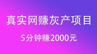 灰产项目 | 网络赚钱 | 2024网赚兼职 毫无风险，教你五分钟就可以赚到2000。灰产跑分跑货真实演示（真实测试网站）