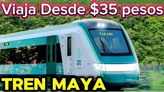 Viaje y me encantó el Tren Maya #trenmaya