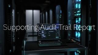 Audit Trail Report in SAP Business One SP2408