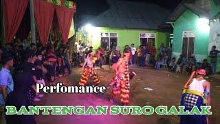 PERFOMANCE BANTENGAN SURO,SEKAR BUDOYO.