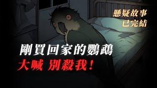 【懸疑故事】我買了一只會說話的鸚鵡，前主人教它的話令我膽寒 丨驚悚丨恐怖丨有聲小說丨推理丨全文已完結丨