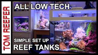 Reef Tank ( LOW TECH. EASY REEF SET UPS)  Super Successful!