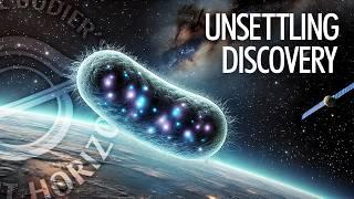 Unsettling New Types of Bacteria Found on the ISS | With Lukasz Szydlowski