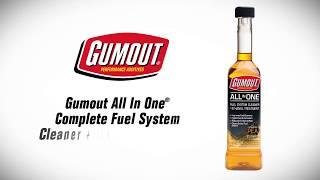 Gumout All-In-One Complete Fuel System Cleaner
