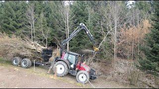 Forst Valtra mit Gierkink Fällgreifer