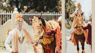 Indian Wedding Procession | Baraat entry on a horse!