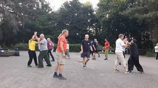 Wu Tai Chi Chuan Tui Shou Sommerseminar 2019 in Völklingen