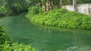 Roaring River Westmoreland Jamaica, Rastasafari Experience ltd atv bike,