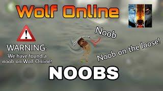 Everything wrong with noobs on Wolf Online