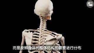 热门 每天跟我涨知识 人体结构 科普一下 医学科普 我们的身体