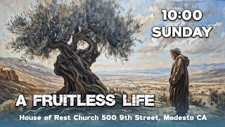 Sermon: A Fruitless Life