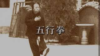 戴氏心意拳之心意神功 (霍永利)