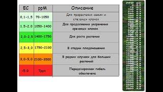 ПУСТАЯ и ПИТАТЕЛЬНАЯ ВОДА. Отличия. Какой водой поливать растения. TDS-метр как пользоваться