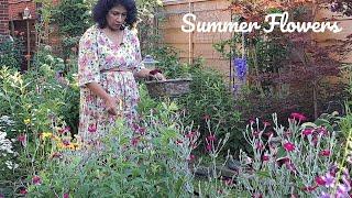 Small Garden with Colourful Blooms | Perennial Garden Tour