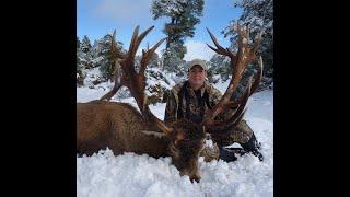 Outdoor Quest TV New Zealand Red Stag Hunt