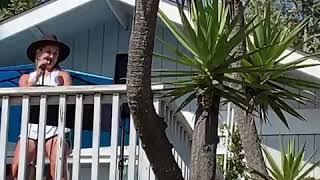 Deck Gig with Bill Macpherson