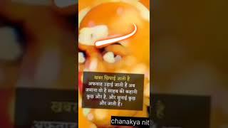 Chanakya niti =#krishna #chanakyaneeti #motivation #shortvideo #education #rules