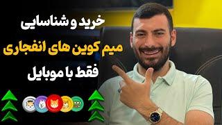 آموزش خرید میم کوین | شناسایی میم کوین‌های انفجاری، جدید و آینده‌دار 