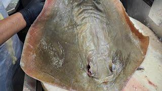 How to make a cutting skills amazing giant stingray fish