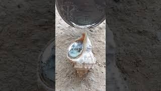 Upcycling Scrap Metal into Art: Aluminum Snail Shell Casting #shorts #viralvideo #restoration #art