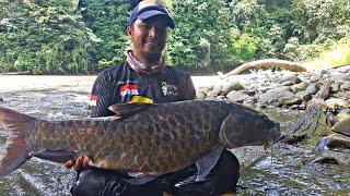 SAMBARAN DAHSYAT MONSTER SUNGAI HULU BORNEO || SPOT EXTREME HULU WAHAU