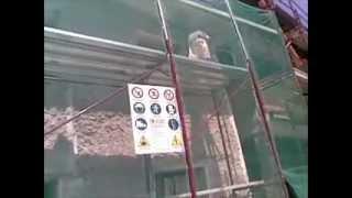 VIALSE BUILD srl, TENCUIELI.www.vialsebuild-group.com