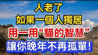 人老了，如果一個人獨居，用一用「貓的智慧」，讓你不再孤單！【晚晴talks】#晚年生活 #中老年生活 #為人處世 #生活經驗 #情感故事 #老人 #幸福人生#talks