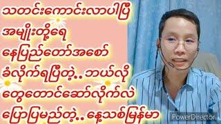 နေပြည်တော် စော်ပလော်တီးခံရပြီတဲ့..#နေ့သစ်မြန်မာ#နွေဦးတော်လှန်ရေး_မုချအောင်ရမည်