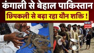 कंगाली से बेहाल Pakistan, छिपकली से बढ़ा रहा यौन शक्ति! Top News | Sanda Oil I Breaking News