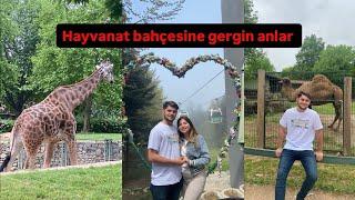 Hayvanat bahçesine gergin anlar