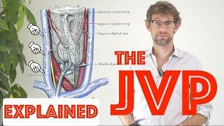 JVP Examination Explained - Clinical Skills Deep Dive - Medical School Revision - Dr Gill