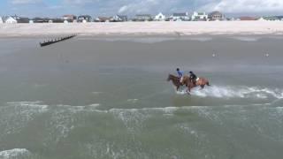 DJI Phantom 4 Drone -  Galloping horses  at East Wittering Beach