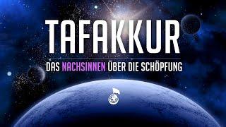 TAFAKKUR - Nachsinnen über die Schöpfung | Worte zum Nachdenken