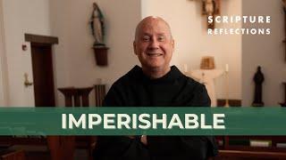 Imperishable - Scripture Reflections: June 30, 2024