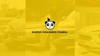 Supercharged Panda, International Car Show for China EV Brand