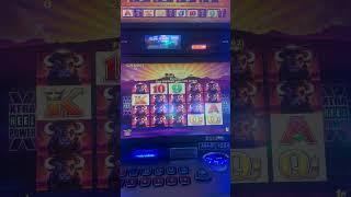 Buffalo Slots (Jackpot Handpay!) #slotmachinebonus #buffaloslots