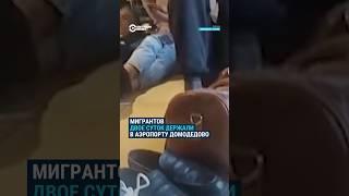 Мигрантов двое суток держали в аэропорту Домодедово