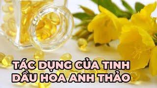 Tinh dầu hoa anh thảo có tác dụng gì? Tác dụng phụ khi uống tinh dầu hoa anh thảo - Kênh Hướng Dẫn