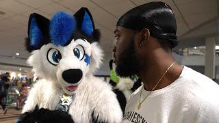 What Happens at Furry Con Stay’s at Furry Con!