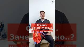 Сердце не перекачивает кровь. Так зачем оно нужно?  | Доктор Финагин